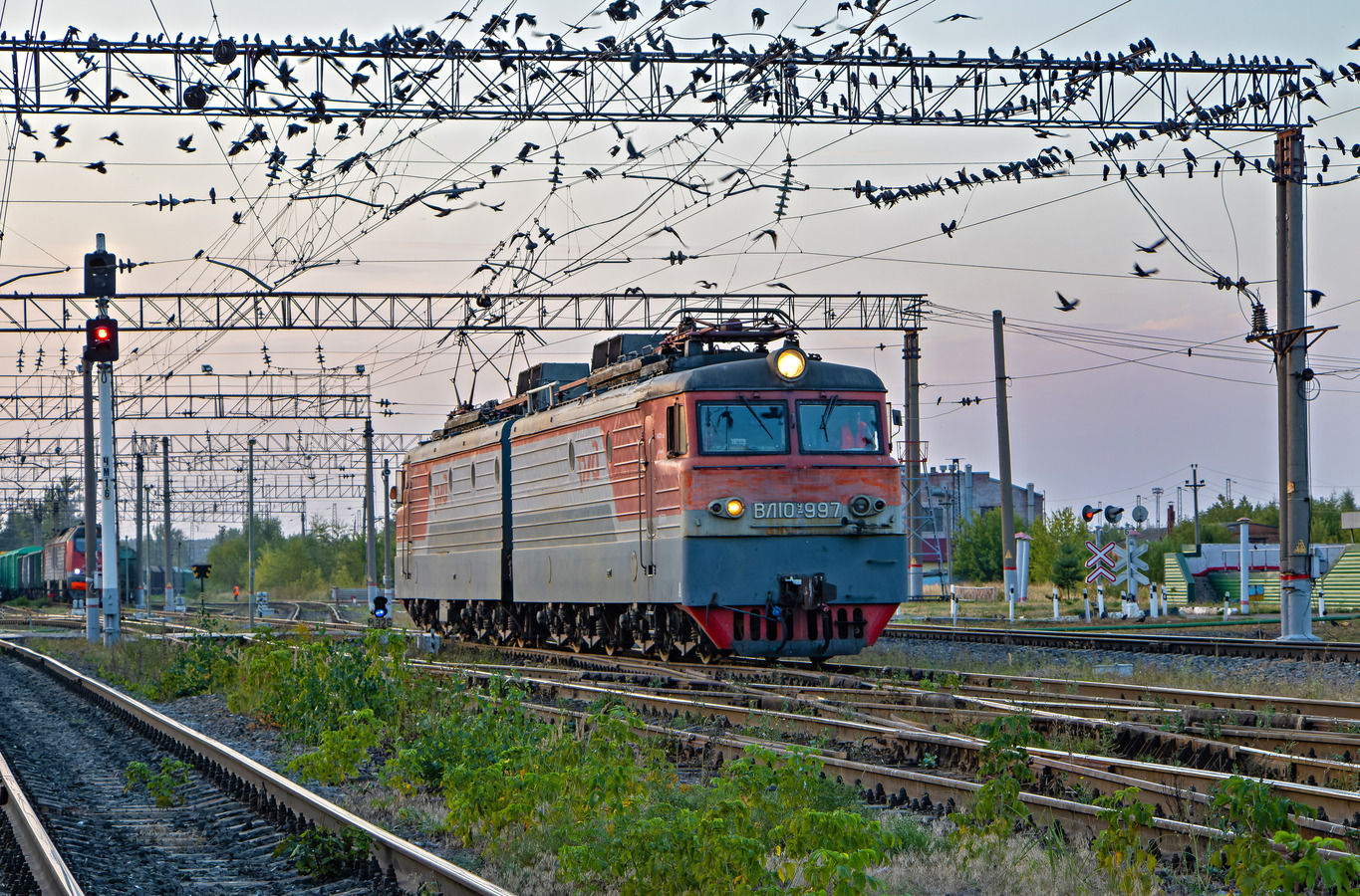 ВЛ10У-997