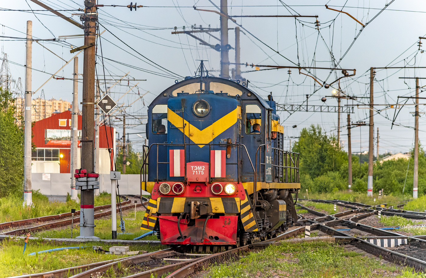 ТЭМ2-7175