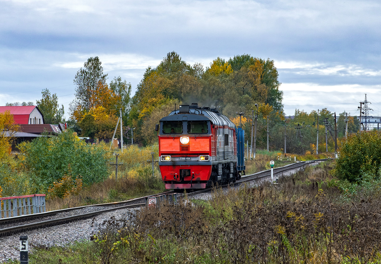 2ТЭ116-454