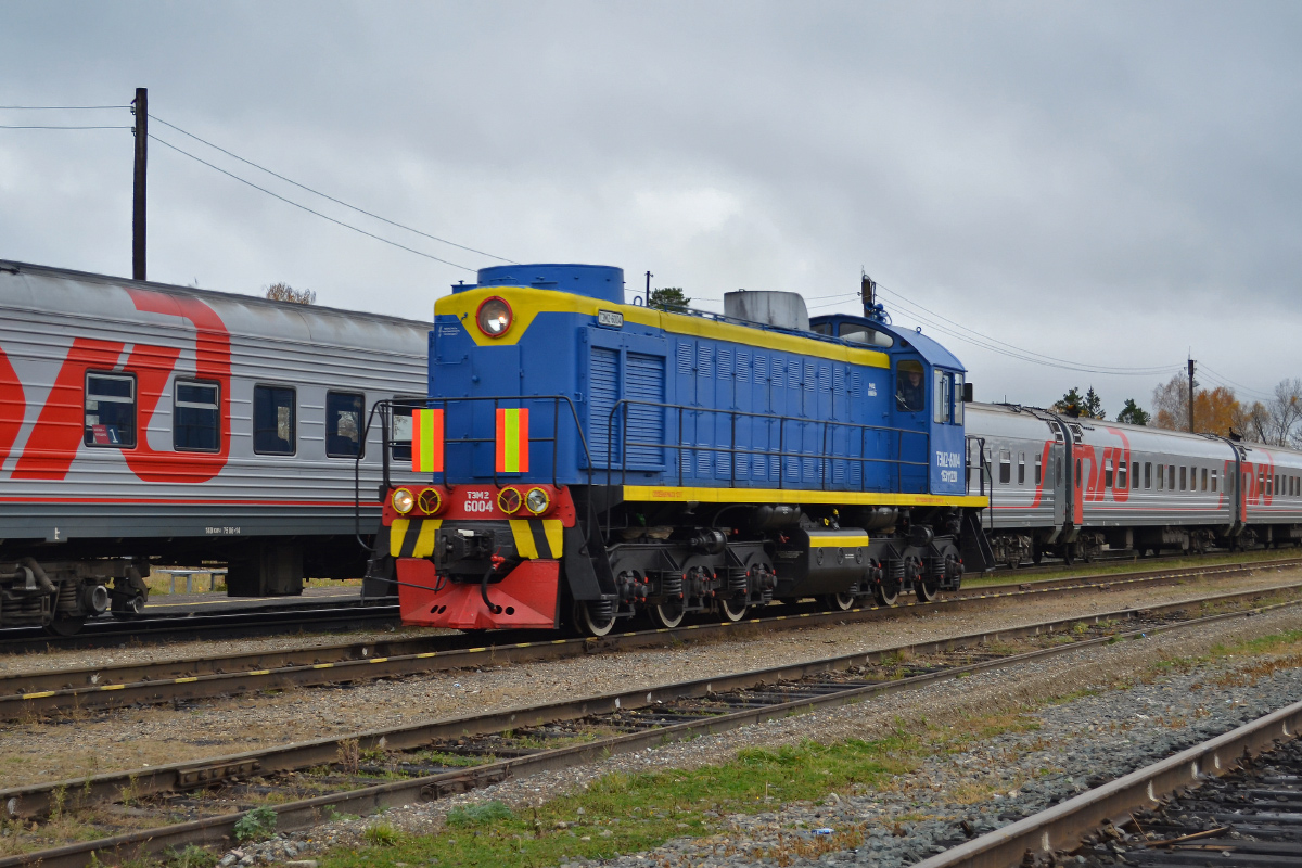 ТЭМ2-6004