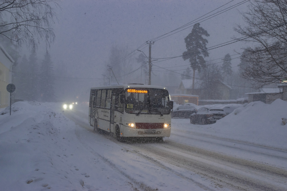 ПАЗ-320412-05 "Вектор" № Е 966 АХ 198