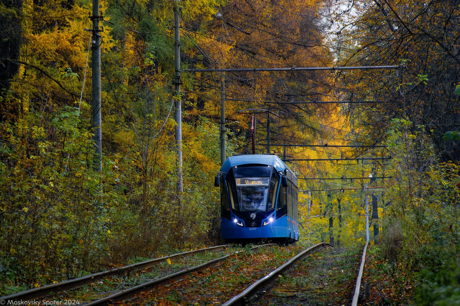 71-931М «Витязь-М» № 31017