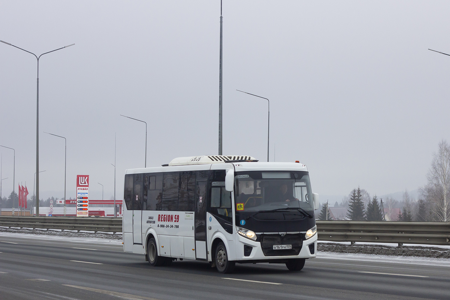 ПАЗ-320455-04 "Vector Next" (межгород) № А 161 РН 159