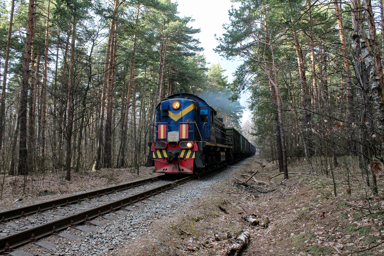 ТЭМ2-1212