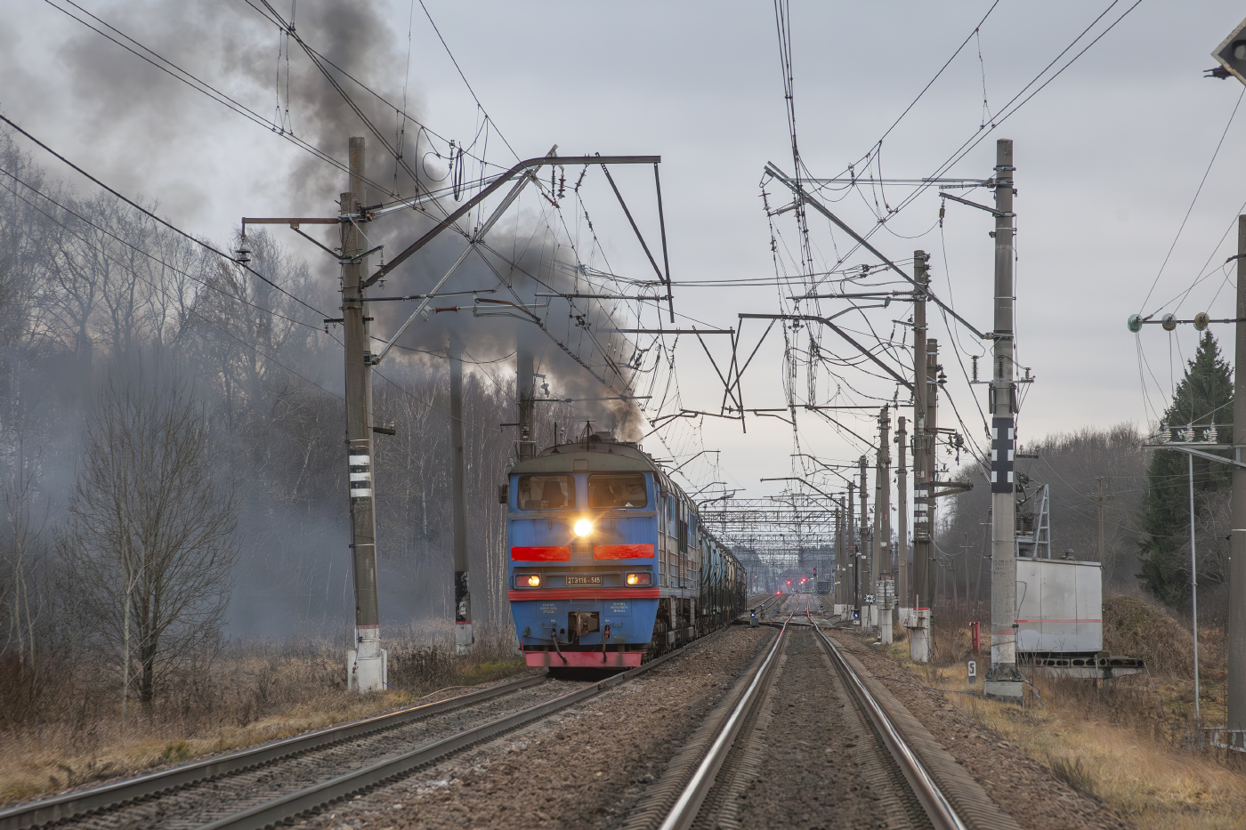 2ТЭ116-545
