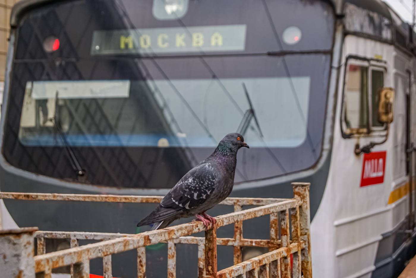 ЭД4МКУ-0153