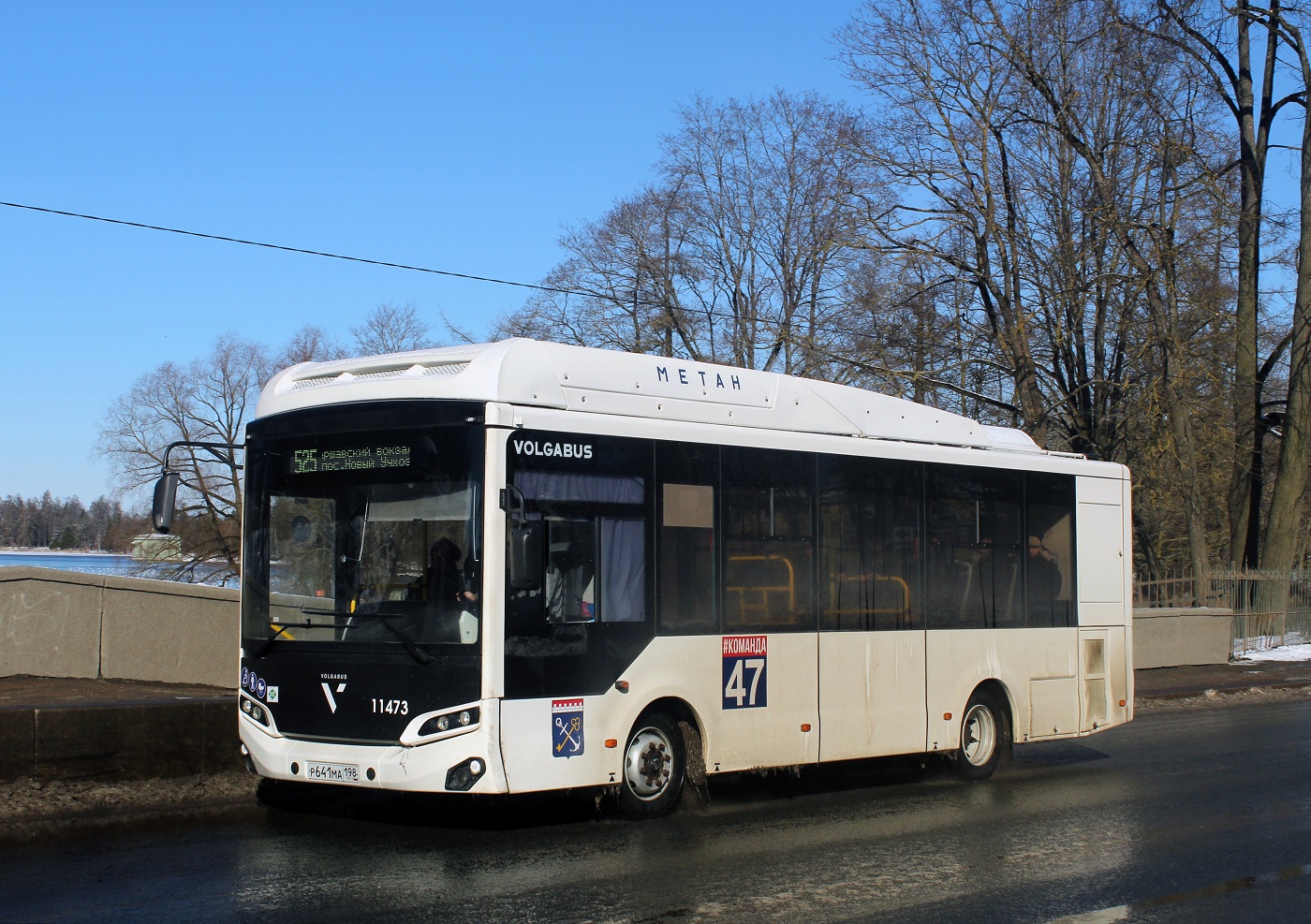 Volgabus-4298.G4 (CNG) № 11473