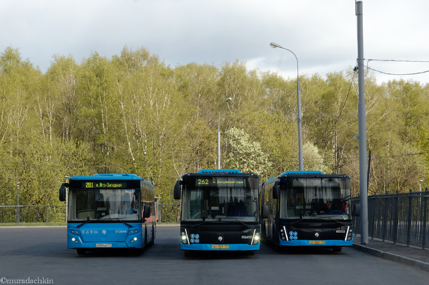 ЛиАЗ-5292.22 (2-2-2) № 012666; ЛиАЗ-6213.65 № 011653; ЛиАЗ-6213.65 № 012123