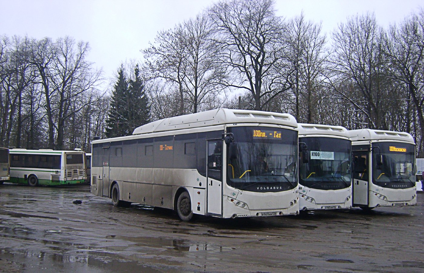 Volgabus-5285.G2 №4430