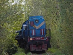 4264 КБ