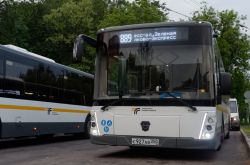 11790 КБ