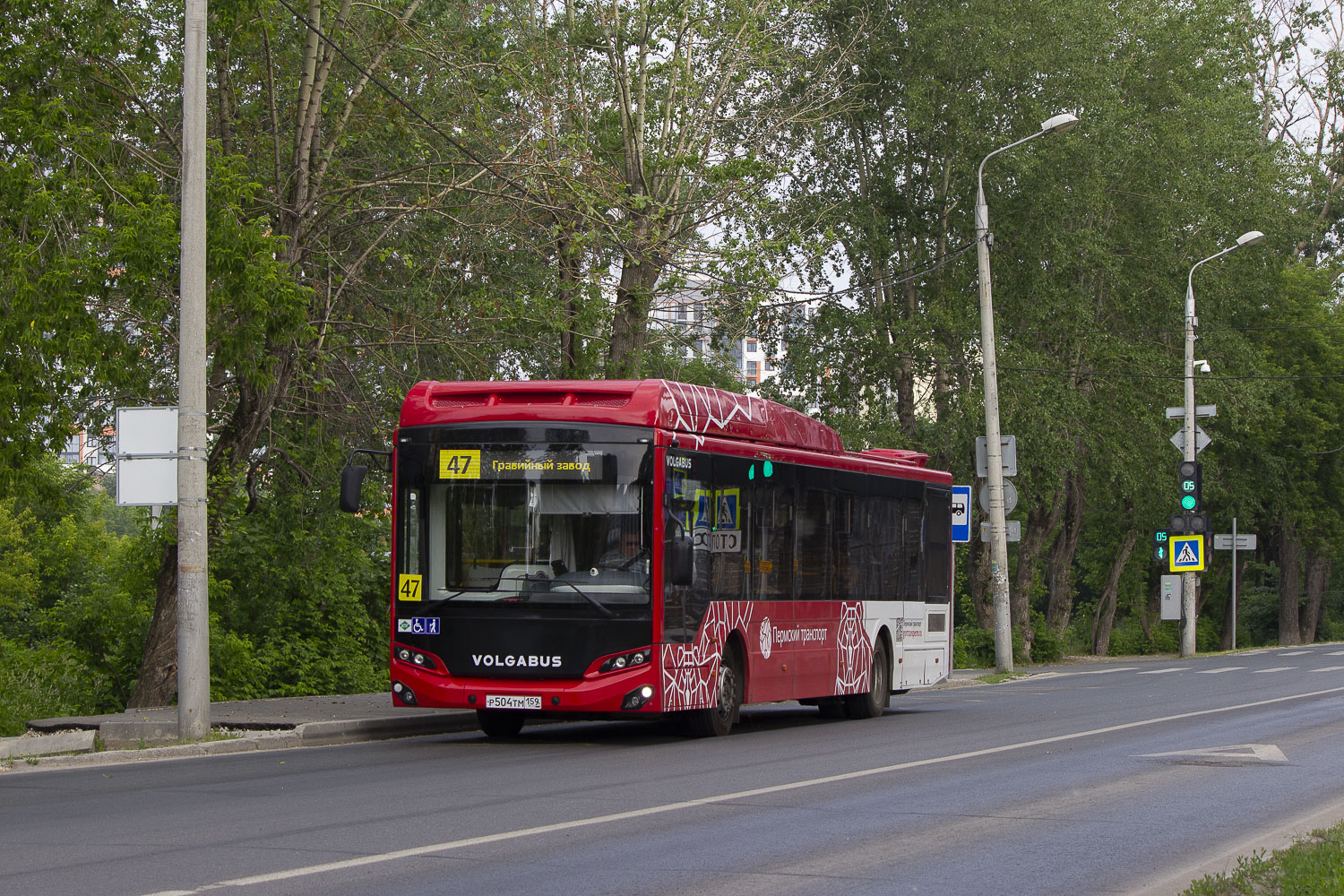 Volgabus-5270.G4 (CNG) № Р 504 ТМ 159