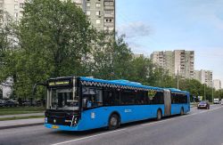 7362 КБ