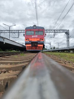 3698 КБ