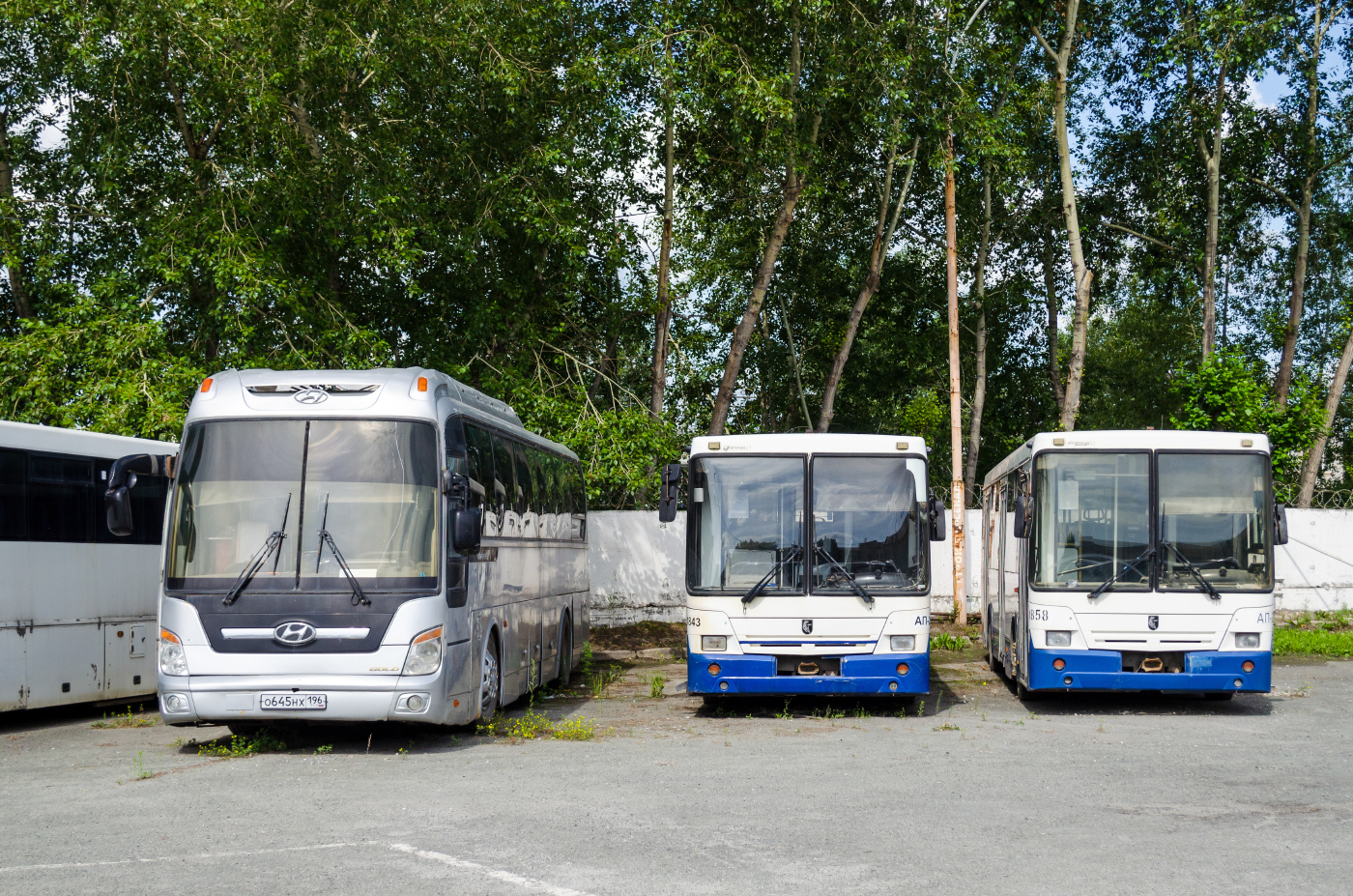 Hyundai Universe Xpress Noble № О 645 НХ 196; НЕФАЗ-5299-20-32  № 1843; НЕФАЗ-5299-20-32  № 1858