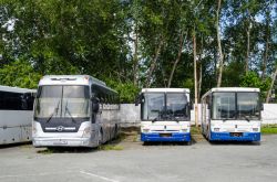 9828 КБ