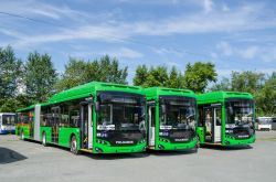 7955 КБ