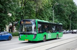8598 КБ