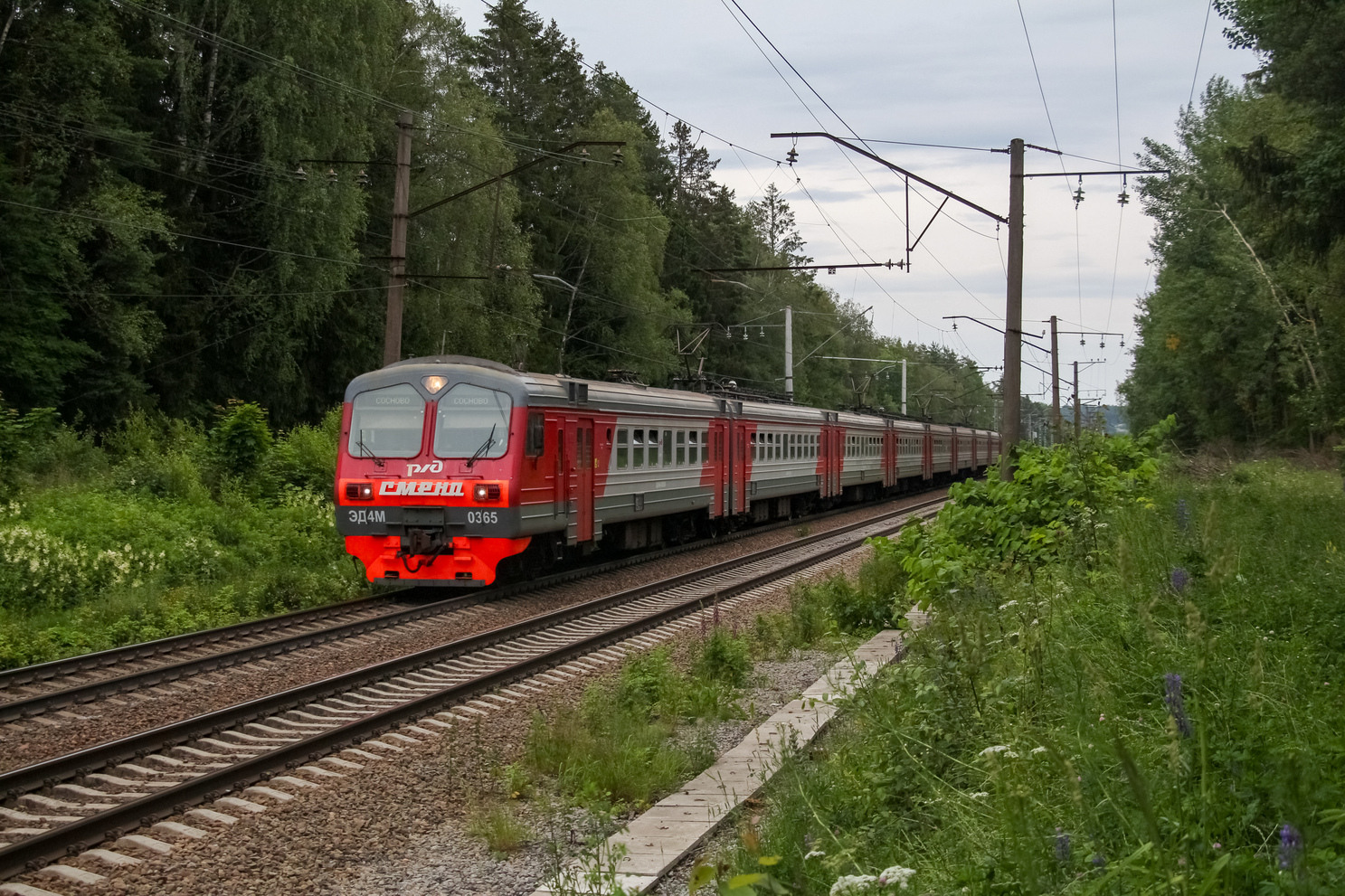 ЭД4М-0365