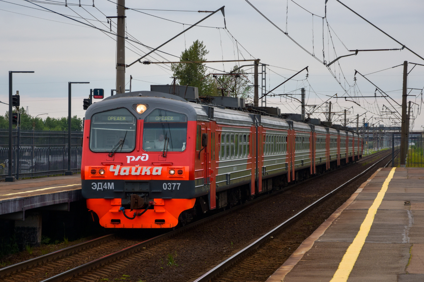 ЭД4М-377