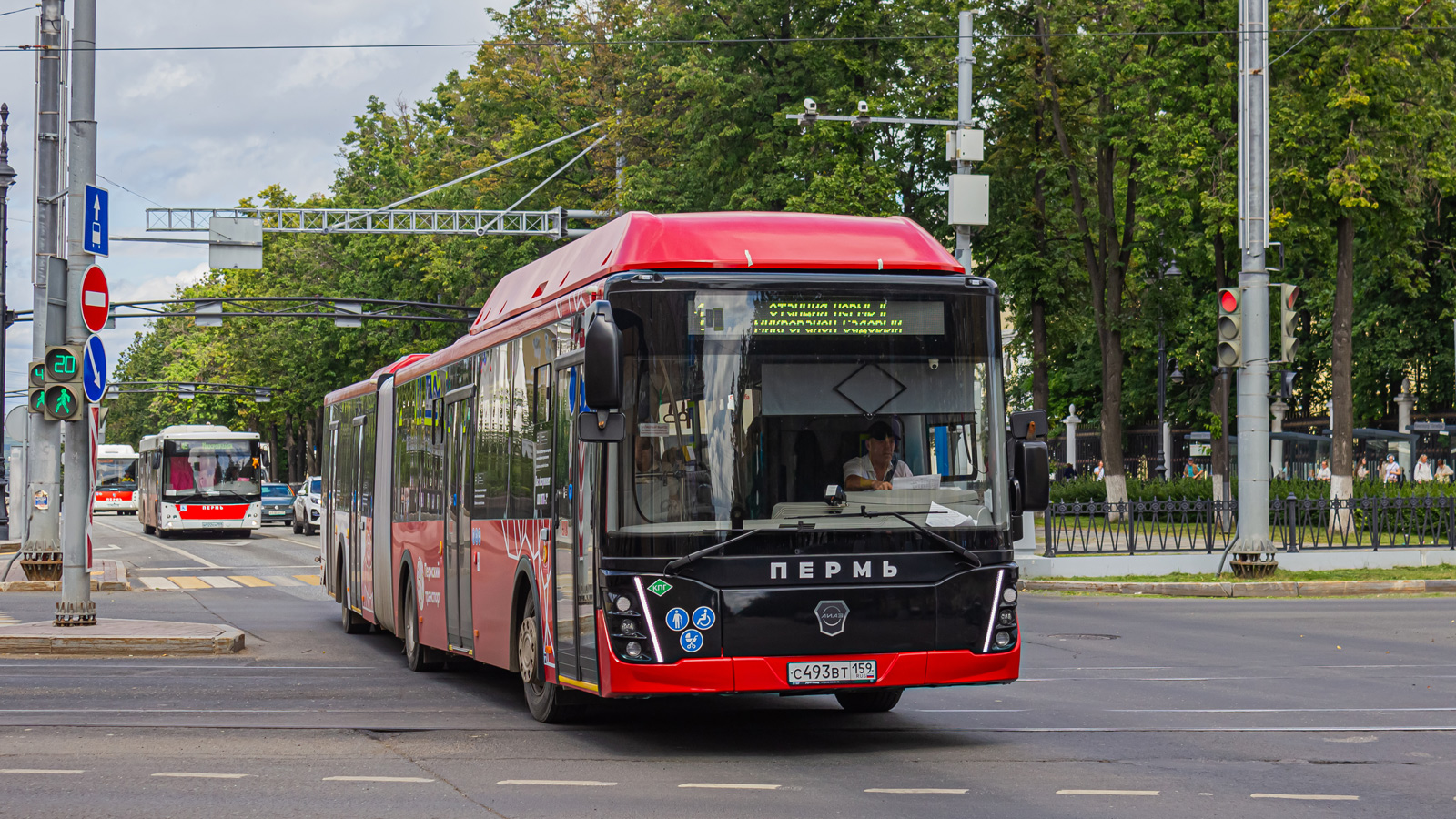 ЛиАЗ-6213.67  № С 459 ВТ 159; МАЗ-203.016 № Н 922 ЕН 159