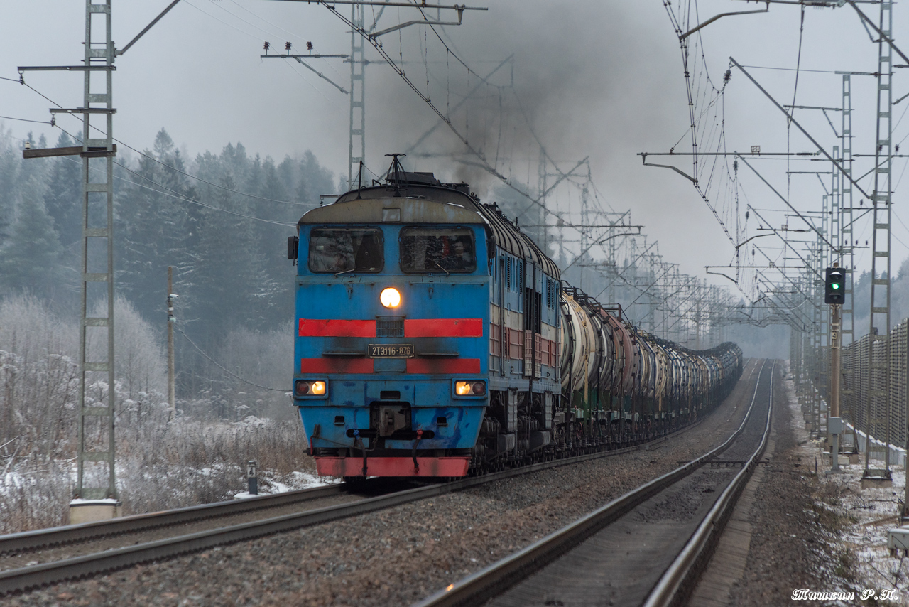 2ТЭ116-876