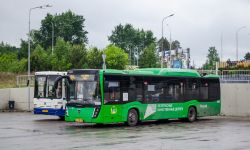6466 КБ