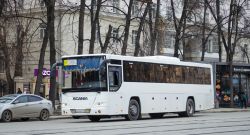 4864 КБ