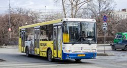 2498 КБ