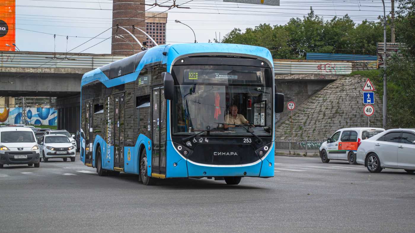 Синара 6254.00 №253