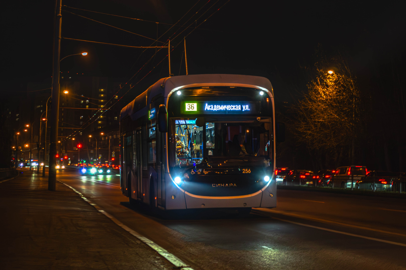 Синара 6254.00 №256