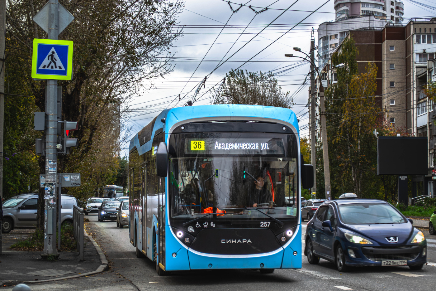 Синара 6254.00 №257