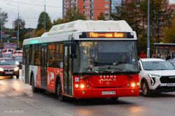 562 КБ