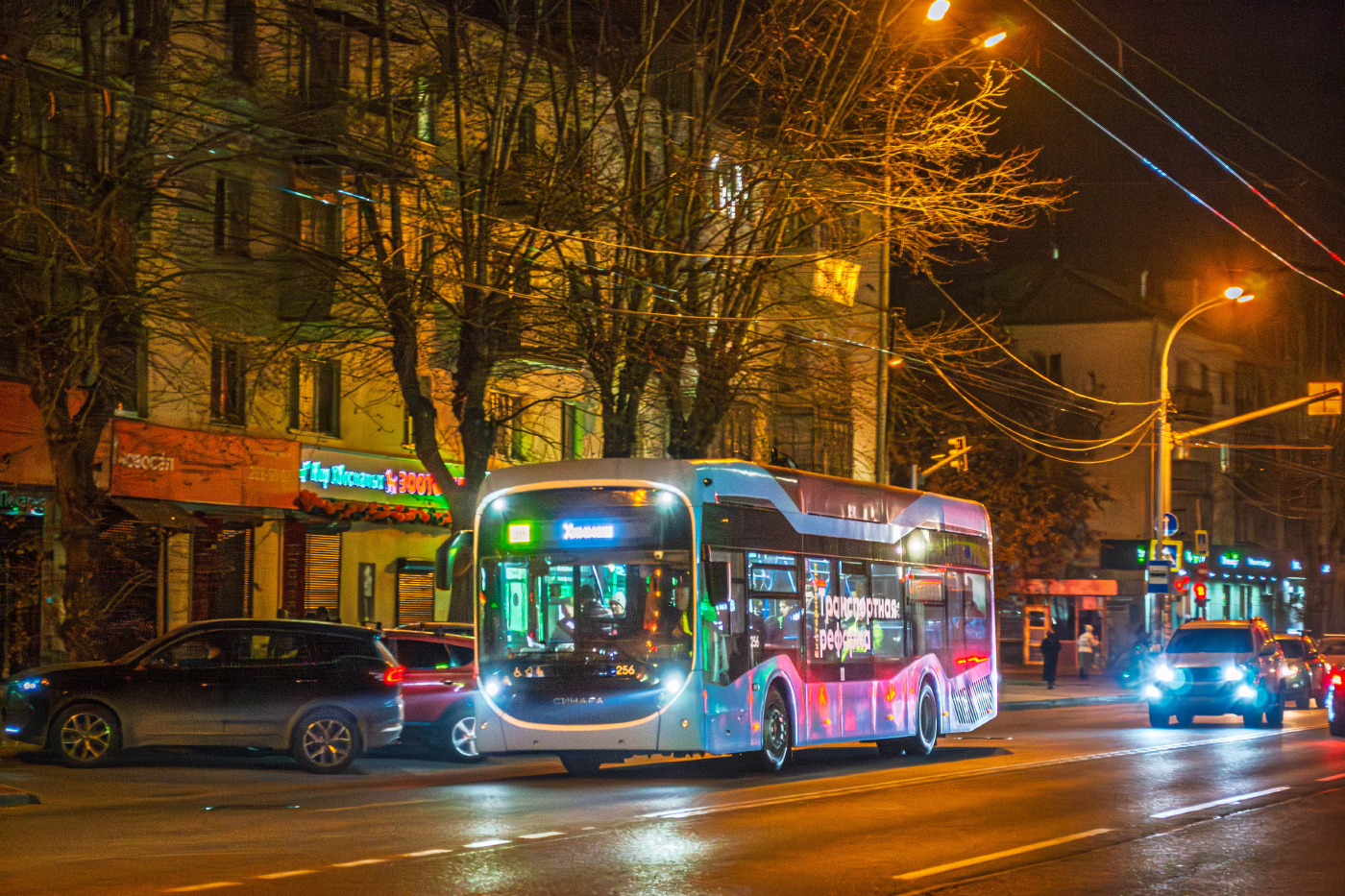 Синара 6254.00 №256