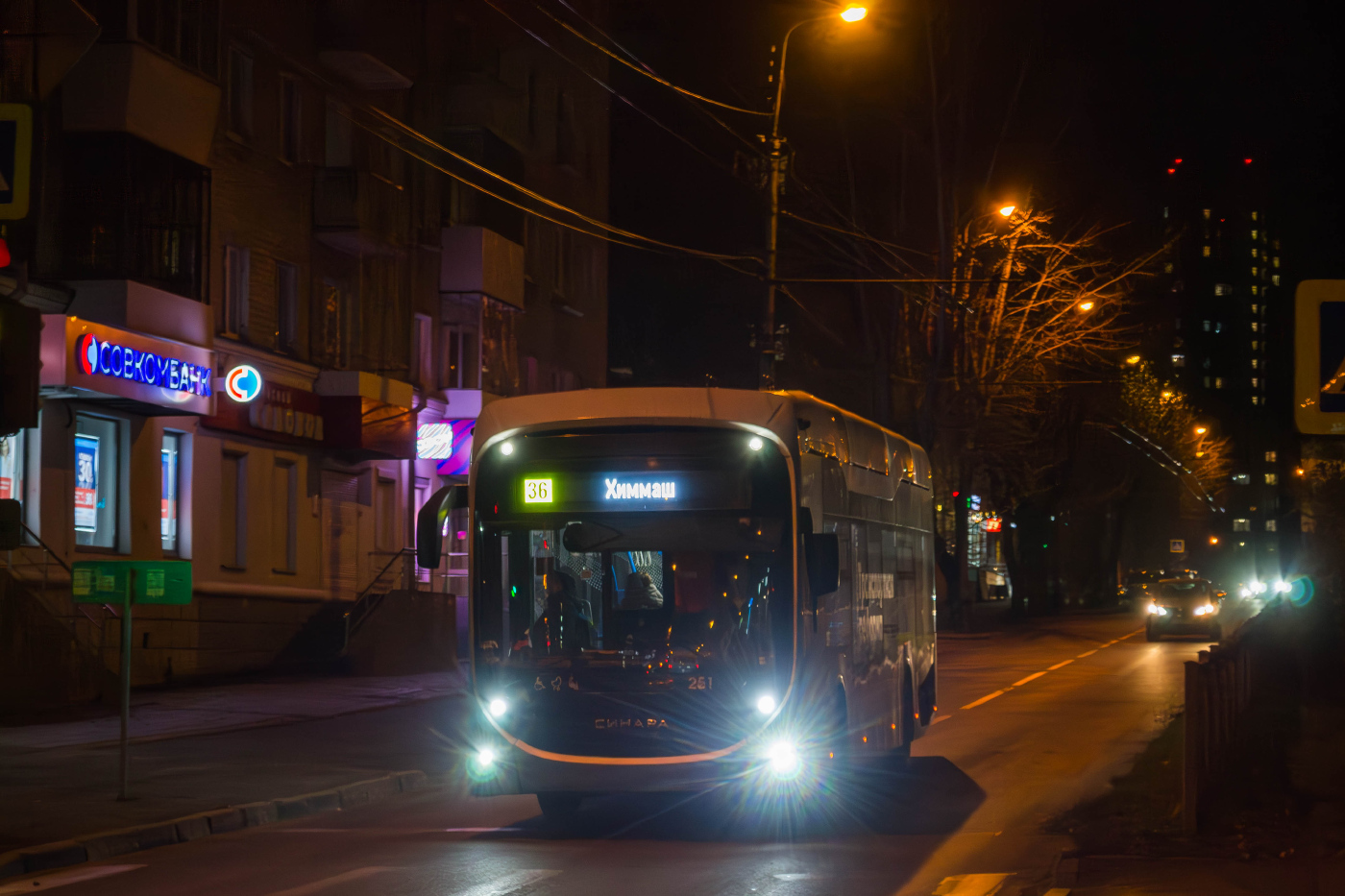 Синара 6254.00 №251