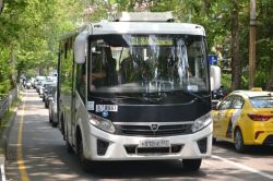 2598 КБ
