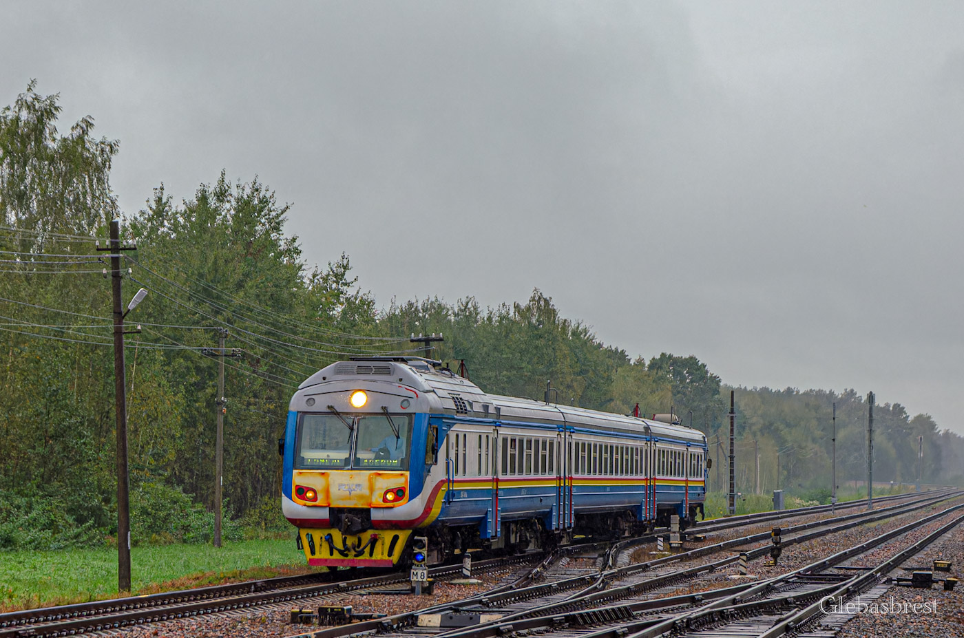 ДР1Б-509