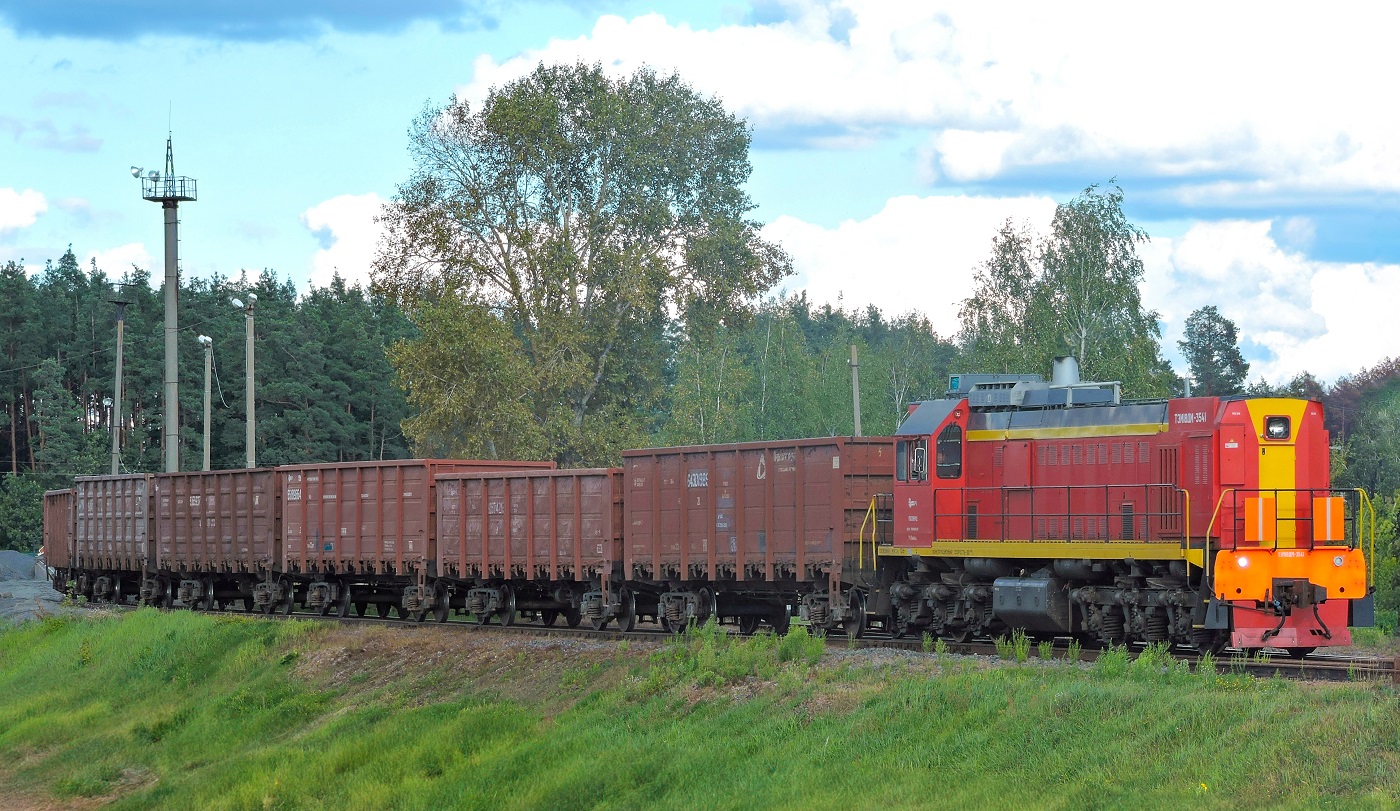 ТЭМ18ДМ-3541