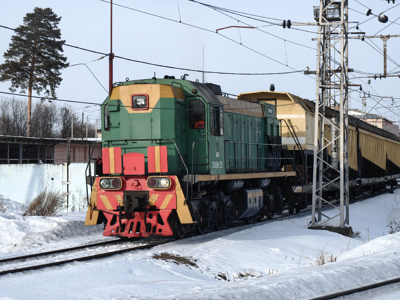 ТЭМ2УМ-725