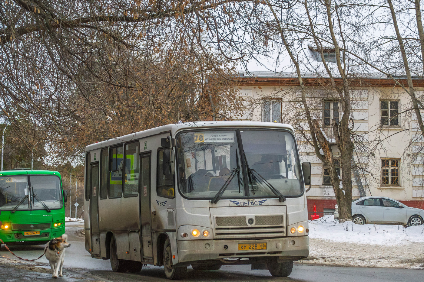 ПАЗ-320414-04 "Вектор" (1-2) № КК 726 66; ПАЗ-320402-05 № КУ 228 66