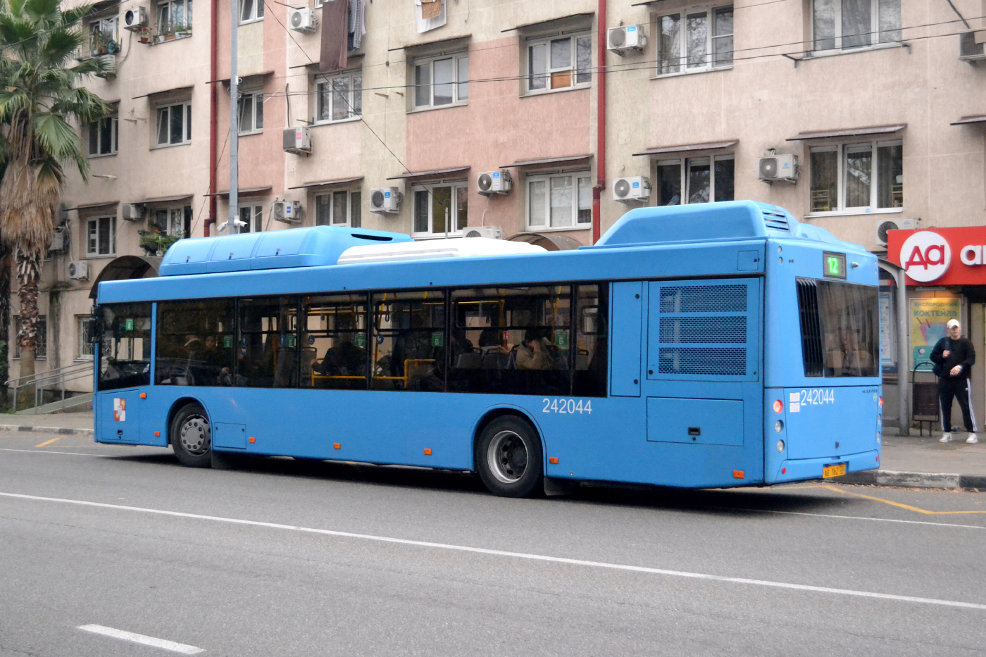 МАЗ-203.С65 № 242044 (АЕ 162 23)