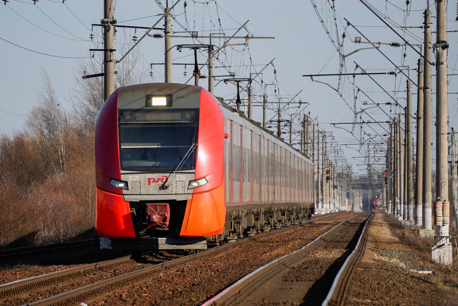 ЭС2Г-239