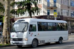 8024 КБ