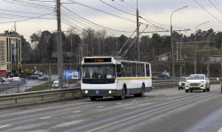 585 КБ