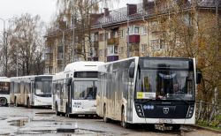 6596 КБ
