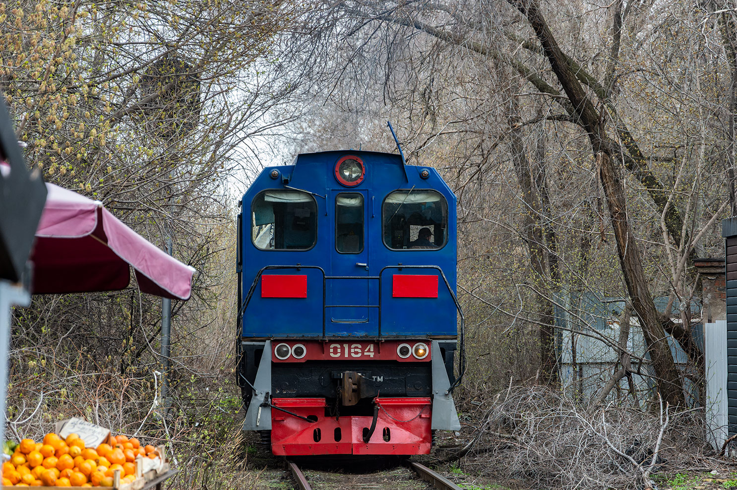 ТГМ6В-0164