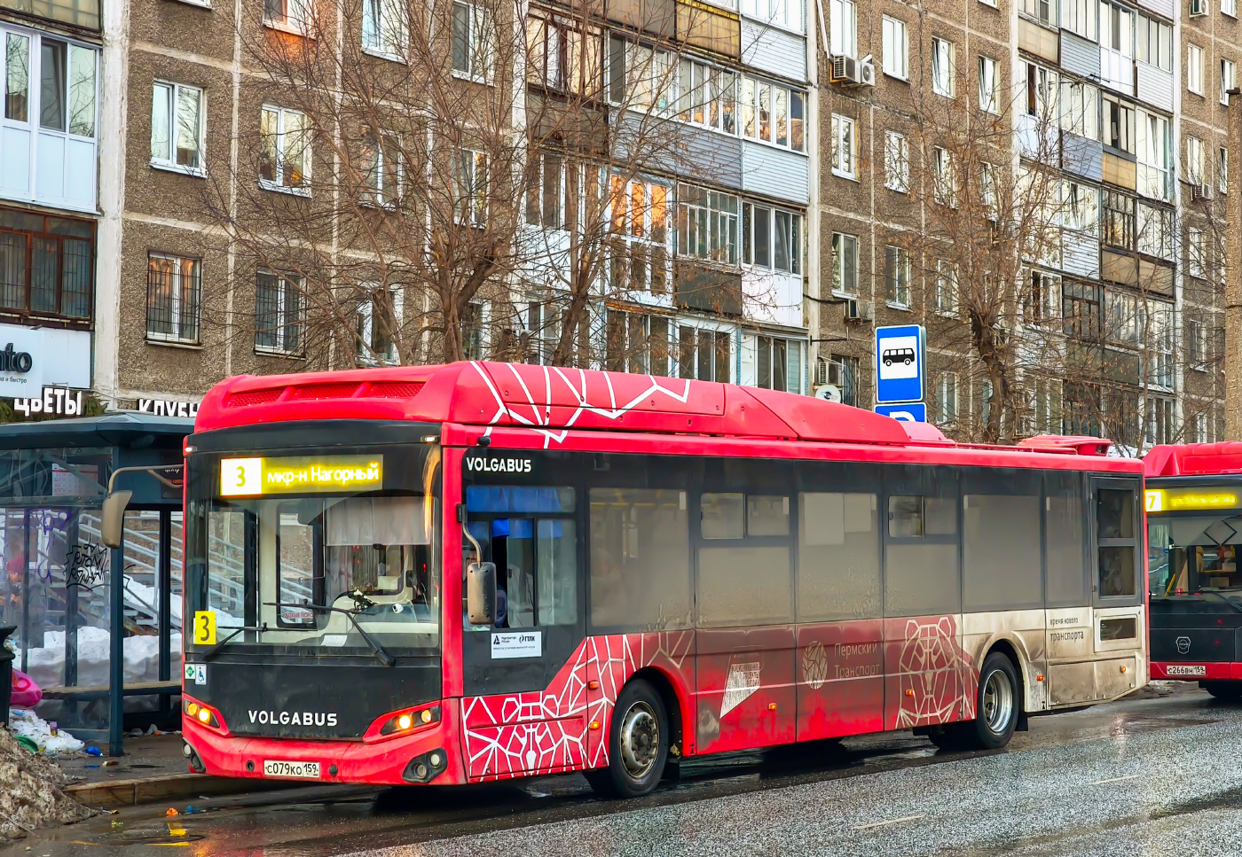 Volgabus-5270.G4 (CNG)  № С 079 КО 159