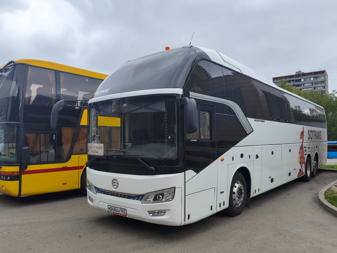 Golden Dragon № М 248 АН 147