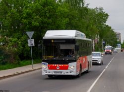 8184 КБ