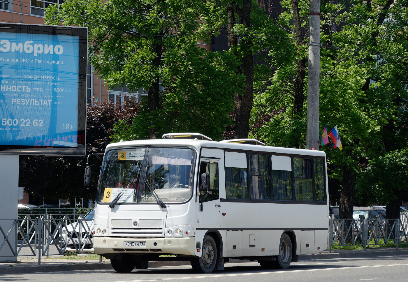 ПАЗ-320302-12 Вектор № Х 915 ЕН 193